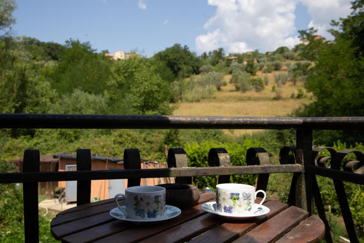 B&B Villa Il Noce Picinisco ภายนอก รูปภาพ