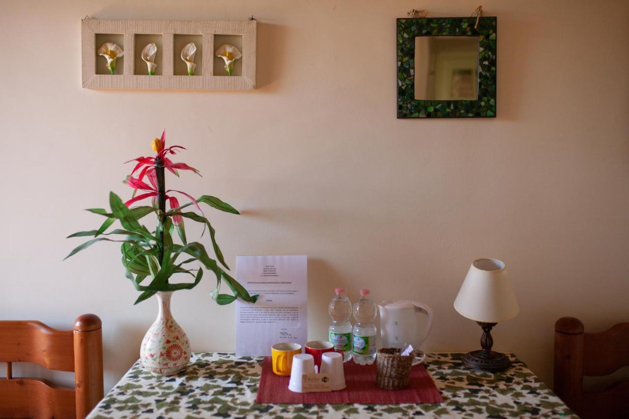 B&B Villa Il Noce Picinisco ภายนอก รูปภาพ
