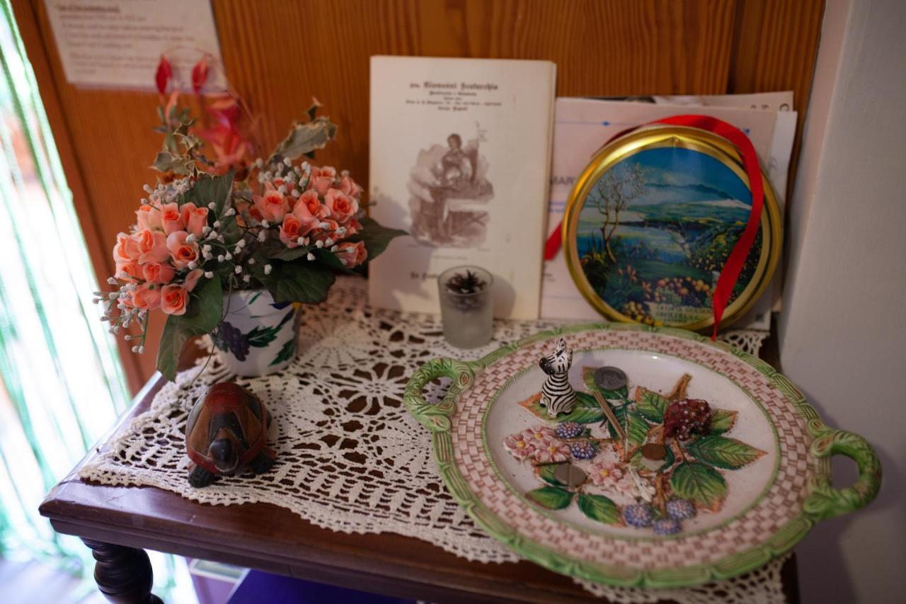 B&B Villa Il Noce Picinisco ภายนอก รูปภาพ